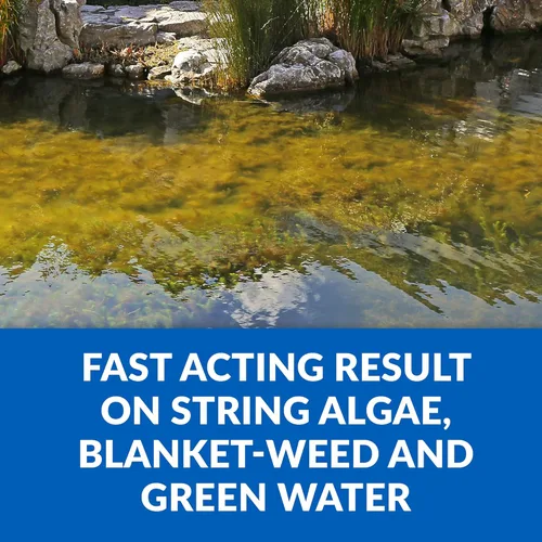 Vista 3 de CrystalClear Algae D-Solv - Alguicida de acción rápida registrado por la EPA, control de algas para fuentes y estanques al aire libre con koi