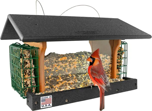 DutchCrafters Comedero grande de plástico para pájaros con dos jaulas de sebo, comederos para pájaros para exteriores para alimentos o semillas