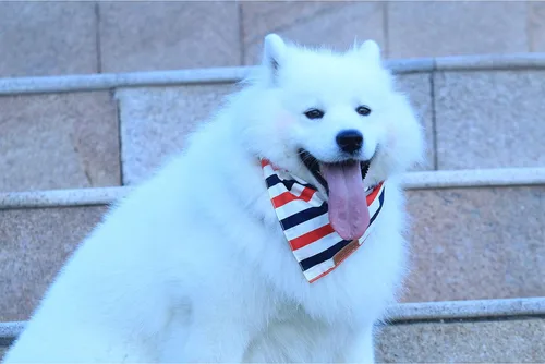 Vista 6 de Realeaf Bandanas para perros del 4 de julio, 2 unidades, bufanda reversible con bandera estadounidense para niños y niñas, tela duradera de primera
