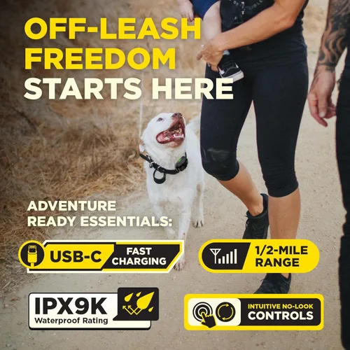 Vista 8 de Dogtra 200iQ Collar E de entrenamiento remoto – 100 niveles, tono, vibración, rango de 1/2 milla – Compacto, impermeable, control con una sola mano
