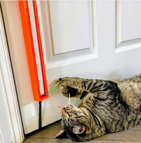 Vista 7 de MOODY PET Fling-AMA-String Cat Toy