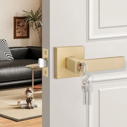 EHOMEWARE Paquete de 10 Palancas de Puerta Doradas, Palancas de Puerta de Entrada con Llaves, No Tienen Llaves Iguales - Palanca de Puerta Interior