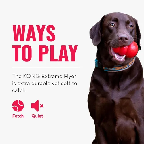 Vista 4 de KONG Extreme Flyer - Juguete para perros que apoya el ejercicio saludable - Disco suave para perros - Juguete para buscar y recuperar - Juguete