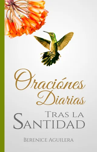 Oraciones Diarias - Tras la Santidad (Libro de Oraciones Cristianas) (Spanish Edition)