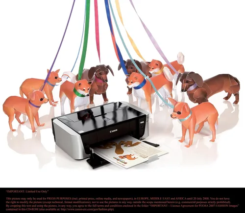 Vista 6 de Canon Pixma iP3500 impresora fotográfica (2170B002)