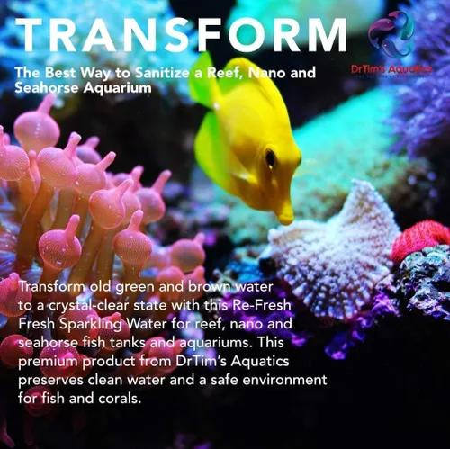 Vista 3 de DrTim's Aquatics Re-Fresh Reef (DrTim's Aquatics Re-Fresh Reef 16oz)