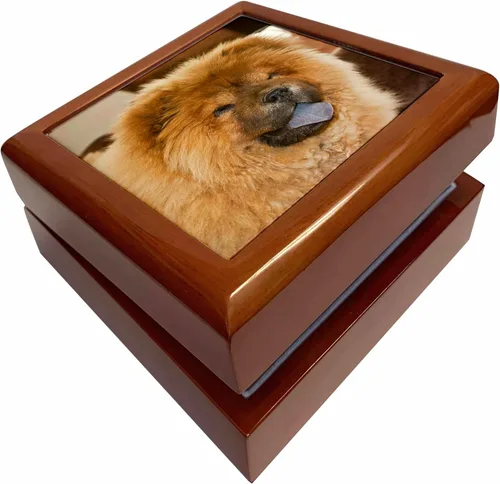 3dRose A Chow Chow puppy dog with tan background - NA02 ZMU0130 - Zandria Muench Beraldo, Jewelry Box jb-140410-1