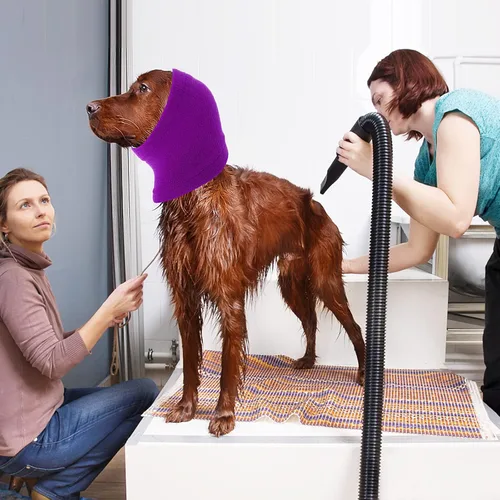 Vista 6 de cobee Redecilla para perro calentador de cuello y orejas, orejeras para mascotas para mayor comodidad, antiansiedad, baño, aseo y reducción