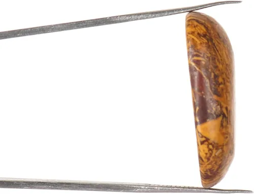 Vista 3 de GEMHUB Natural Jasper Oval Cabochon Brown Color Healing Crystal 34.35 CT. Loose Gemstone Perfect for Pandent Making