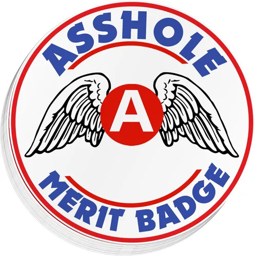 Pegatina de insignia al mérito de idiota para automóvil, camión, camioneta, auto, campamento, regalos, pistola, casco duro, calcomanías divertidas