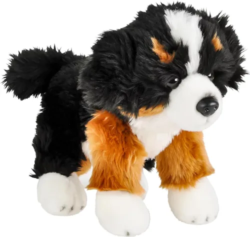 Vista 2 de Rhode Island Novelty Adventure Planet Bernese Mountain Dog Heirloom Floppy 12