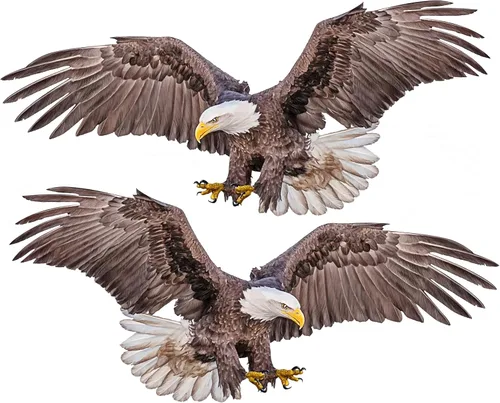 Paquete de 2 calcomanías de vinilo de águila calva – Eagle About to Catch Prey Motion – Calcomanías de vinilo para automóvil, camión, motocicleta
