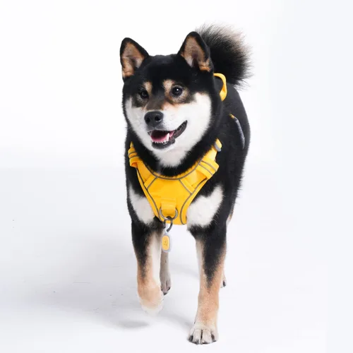 Vista 7 de Pawaii - Arnés para perro, sin tirones, con etiqueta de identificación, pechera ajustable con relleno suave y con asa de fácil control para perros