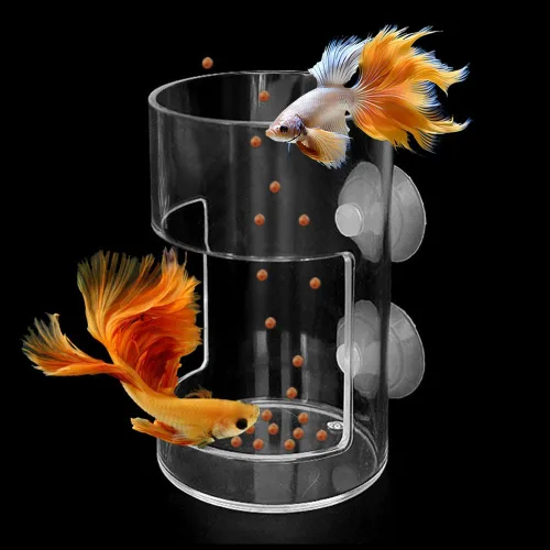 Vista 10 de Juego de 2 anillos de alimentación para peces, alimentador de alimentos para peces + tira de termómetro, decoración de tanques, accesorios de tanque