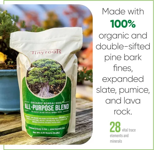 Vista 6 de Tinyroots Bonsai Soil Plus un paquete de tres macetas de entrenamiento para bonsái de seis pulgadas
