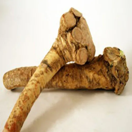 Raíces de rábano picante natural, 1/2 libra/8 onzas, (solo Estados Unidos, no se puede enviar internacionalmente) Listo para plantar o preparar como