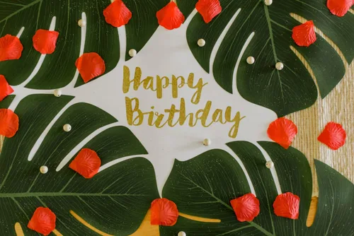 Vista 6 de Vibe 50pcs Large Tropical Palm Leaves - Artificial, 13.8" by 11.4" for Luau Jungle Hawaii Theme Party Decorations1