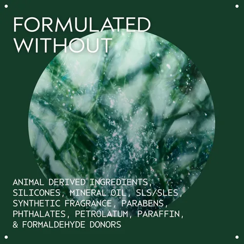 Vista 3 de Aveda Botanical Kinetics Exfoliante, 5 onzas