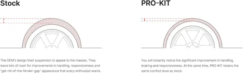 Vista 2 de Eibach Pro-Kit Performance Spring E10-20-031-01-22 (juego de 4 resortes) compatible con BMW 320i 2013-2018