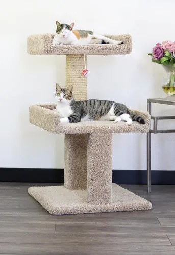 New Cat Condos Percha espaciosa para gatos grandes