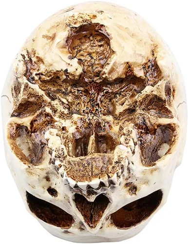 Vista 8 de RMM Decoración de Halloween Retro Humana Cabeza de Calavera Maceta Macetero Caja de Cama Contenedor Réplica Decoración de Bar Hogar, Transparente