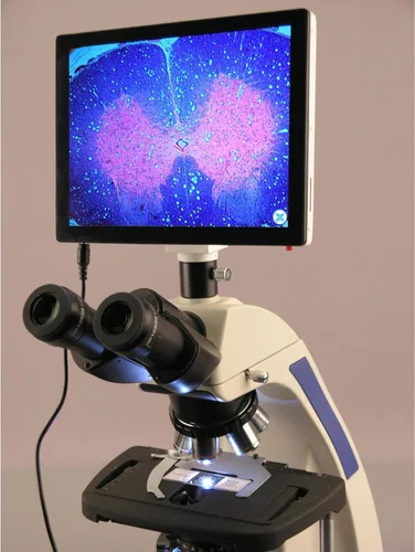 Vista 2 de Microscopio trinocular Koehler LED 40X-2500X con el sistema de imágenes de la pantalla táctil