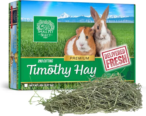 Vista 7 de Small Pet Select 2º Corte Perfect Blend Timothy Hay, alimento para cobaya, conejo, hámster, conejito, chinchilla u otros animales pequeños, heno