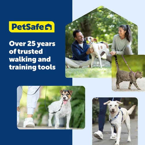 Vista 7 de Collar de la martingala de PetSafe Petite con hebilla rápida instantánea, Raspberry