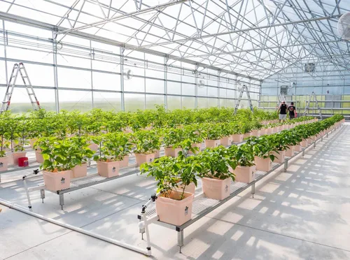 Vista 5 de Pepper Joe's 7 hojuelas de pimienta Jonah Pot – Copos de chile extremadamente picantes – Tarro coctelero de 1/2 oz – Copos de pimiento picante puro