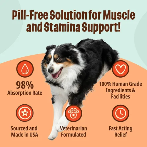 Vista 3 de Licks Pill Free Licks - Deportista de perros - Suplemento para perros de alta actividad - Glucosamina para perros - LiquiPaks - 5 Uso