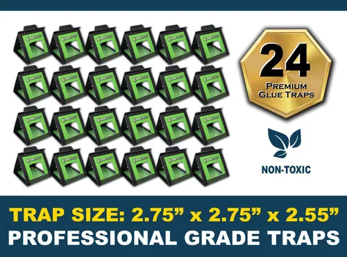 Vista 3 de MaxGuard Trampas para insectos de cama (24 trampas) Trampas de detección de chinches no tóxicas. Detecta, atrapa y mata chinches e insectos