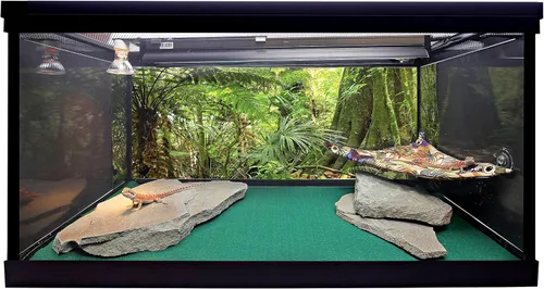 Vista 4 de CAROLINACUSTOMCAGES Fondo de hábitat de reptiles, bosque lluvioso, 15.75 "x 36
