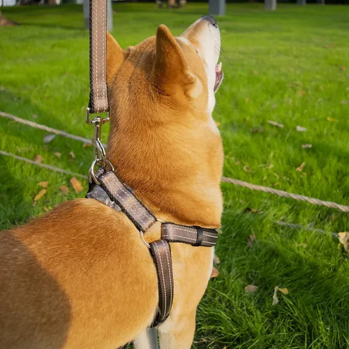 Vista 7 de Juego de arnés reflectante y correa para perro, arnés para perros grandes, sin tirones, fácil de poner y quitar, arnés ajustable para perros 3