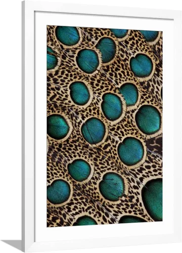 Vista 9 de ART.COM Darrell Gulin - Póster enmarcado para pared, plumas de pavo real malayo con círculos azules por Darrell Gulin, decoración de animales, 12 x