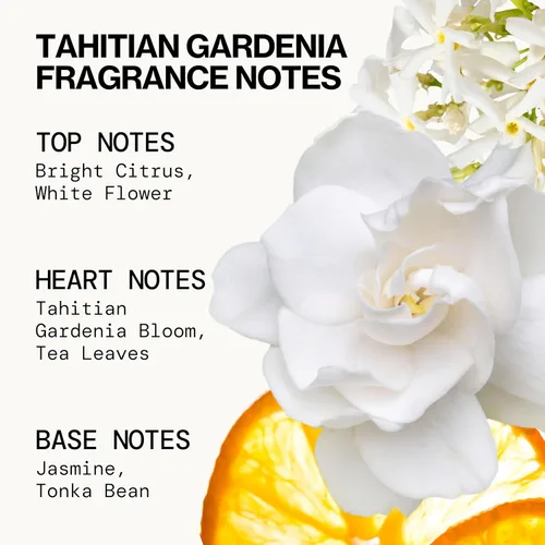 Vista 7 de Pacifica Beauty, Wanderlust - Juego de prueba de perfume en aerosol, vainilla isla, 5 aromas, juego de regalo de muestra de fragancia, aceites