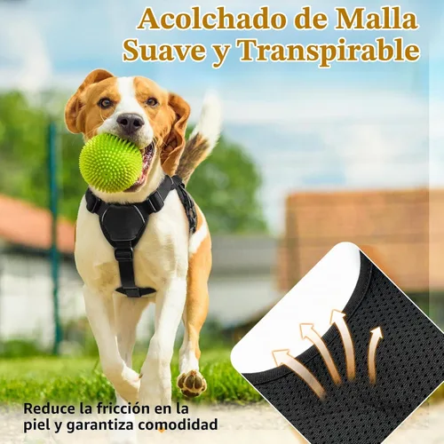 Vista 6 de rabbitgoo Arnés de perro a prueba de escape para pequeños, sin tirones con Negro