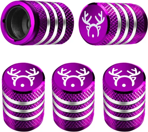 Vista 24 de Tapones para vástago de válvula de neumático, paquete de 5, tapa de aire de neumático N2, metal nitrógeno con forro de plástico, resistente a