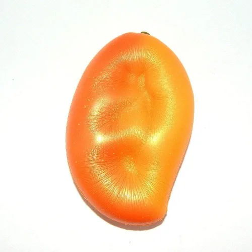 Vista 3 de Esponja de Mango Dorado Colosal de Aumento Lento con Aroma de Fruta