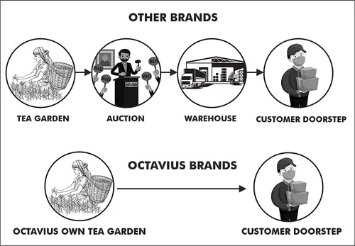 Vista 30 de Octavius Paquete de muestra de té Surtido de tés verdes Té verde de anís canela 50 bolsas de té de doble cámara envueltas Paquete variado