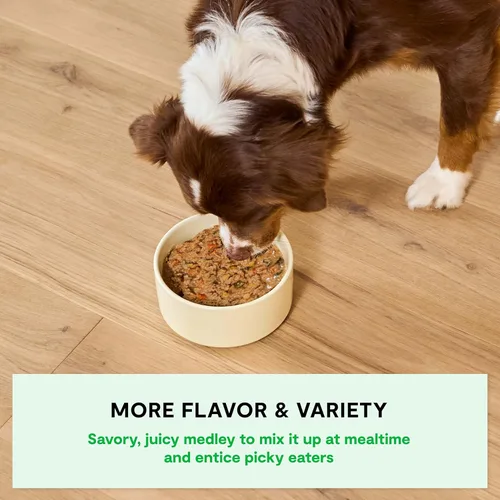 Vista 3 de Open Farm Rustic Stews - Alimento húmedo para perros, sin granos, completa y equilibrada con ingredientes de grado humano, caldo de carne y huesos