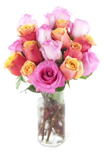 Vista 6 de KaBloom - Rosas arcoíris (media docena)- Flores frescas para cumpleaños, San Valentín y Día de la Madre