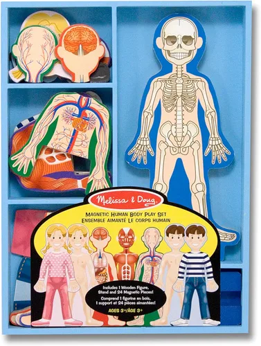 Vista 6 de Set de juego magnético de anatomía del cuerpo humano, con 24 piezas y bandeja de almacenamiento, de la marca Melissa & Doug