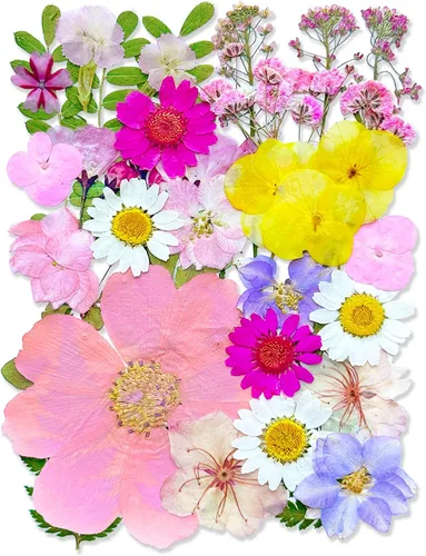 33 piezas de flores secas prensadas rosas para resina, hojas florales secas surtidas naturales reales para manualidades de manualidades, moldes