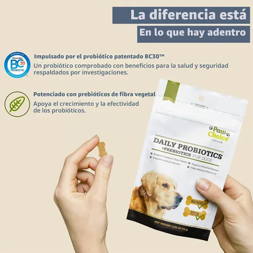 Vista 3 de Paw Choice Probióticos para perros con prebióticos – Masticables diarios para la salud intestinal, la digestión, la regularidad y el apoyo
