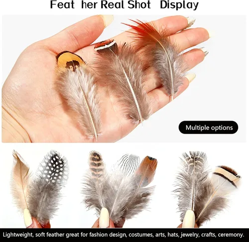 Vista 4 de SendyFeather 200 plumas naturales de 10 estilos surtidos de plumas para atrapasueños, manualidades, decoración de bricolaje