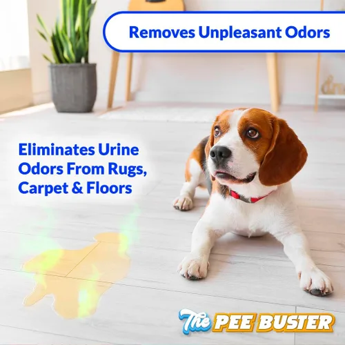 Vista 5 de Removedor de manchas para mascotas, botella de limpieza recargable con 5 tabletas solubles, limpiador multisuperficie para orina de perro y gato