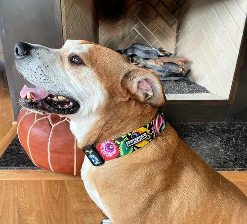 Vista 2 de Lucky Love Dog Collar Ancho para Perros - Collar Ajustable, Duradero, Tejido Suave y Cómodo de 1.5 Pulgadas de Ancho para Perros Machos y Hembras