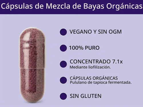 Vista 4 de KOYAH - Cápsulas de mezcla de bayas orgánicas, liofilizadas: 60 cápsulas
