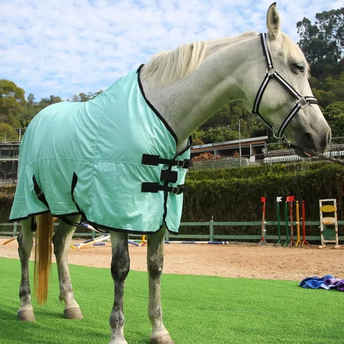Vista 6 de Sábana de mosca de caballo, cuello estándar, cómoda sábana de malla para caballos, hojas de verano equinas con protección UV, color verde, 63