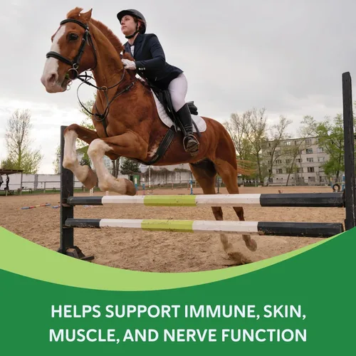 Vista 3 de Suplemento de vitamina E para caballos, polvo de tocoferol dl-alfa de alta potencia, apoya el bienestar muscular inmune de la piel y los nervios